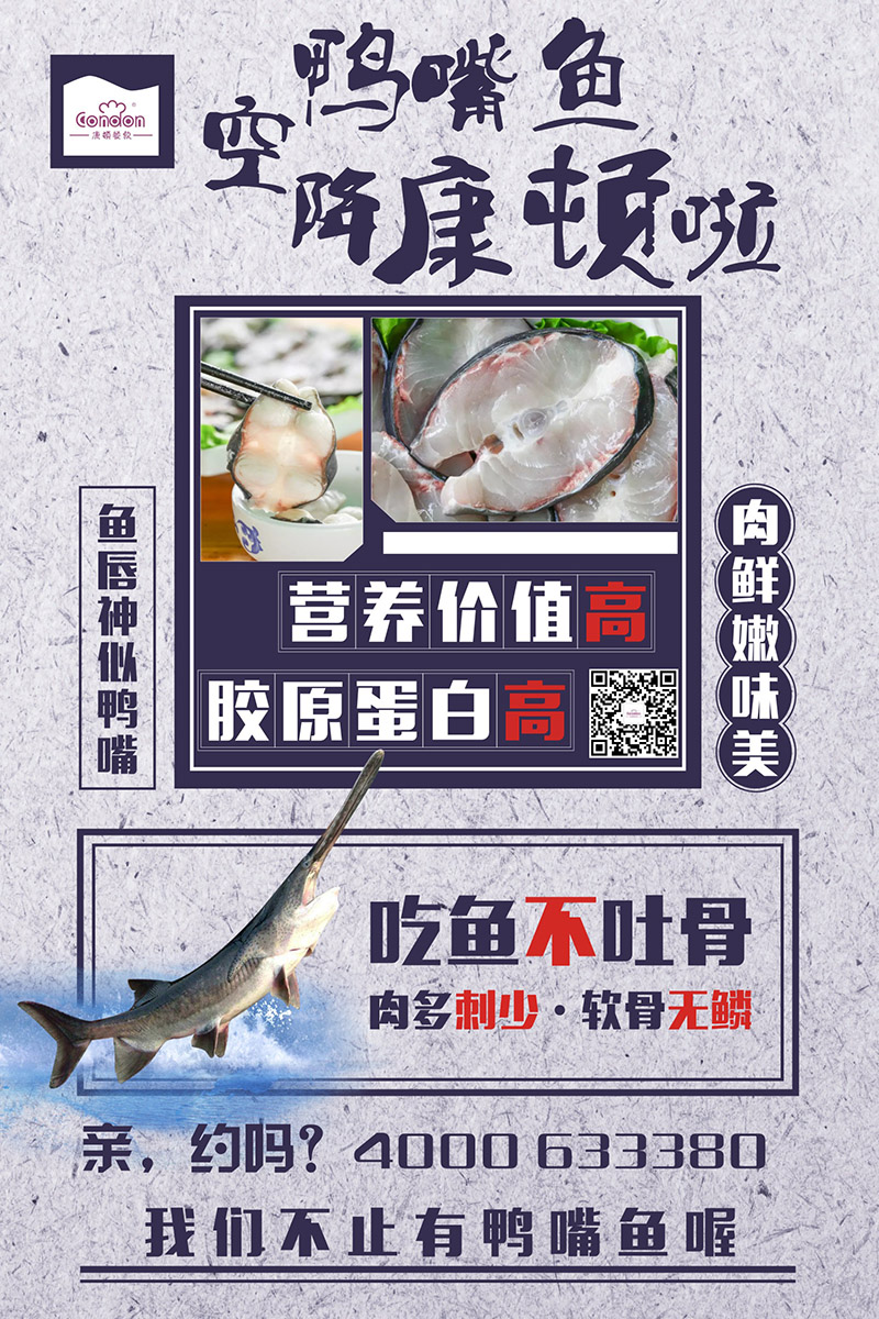 鴨嘴魚(yú)